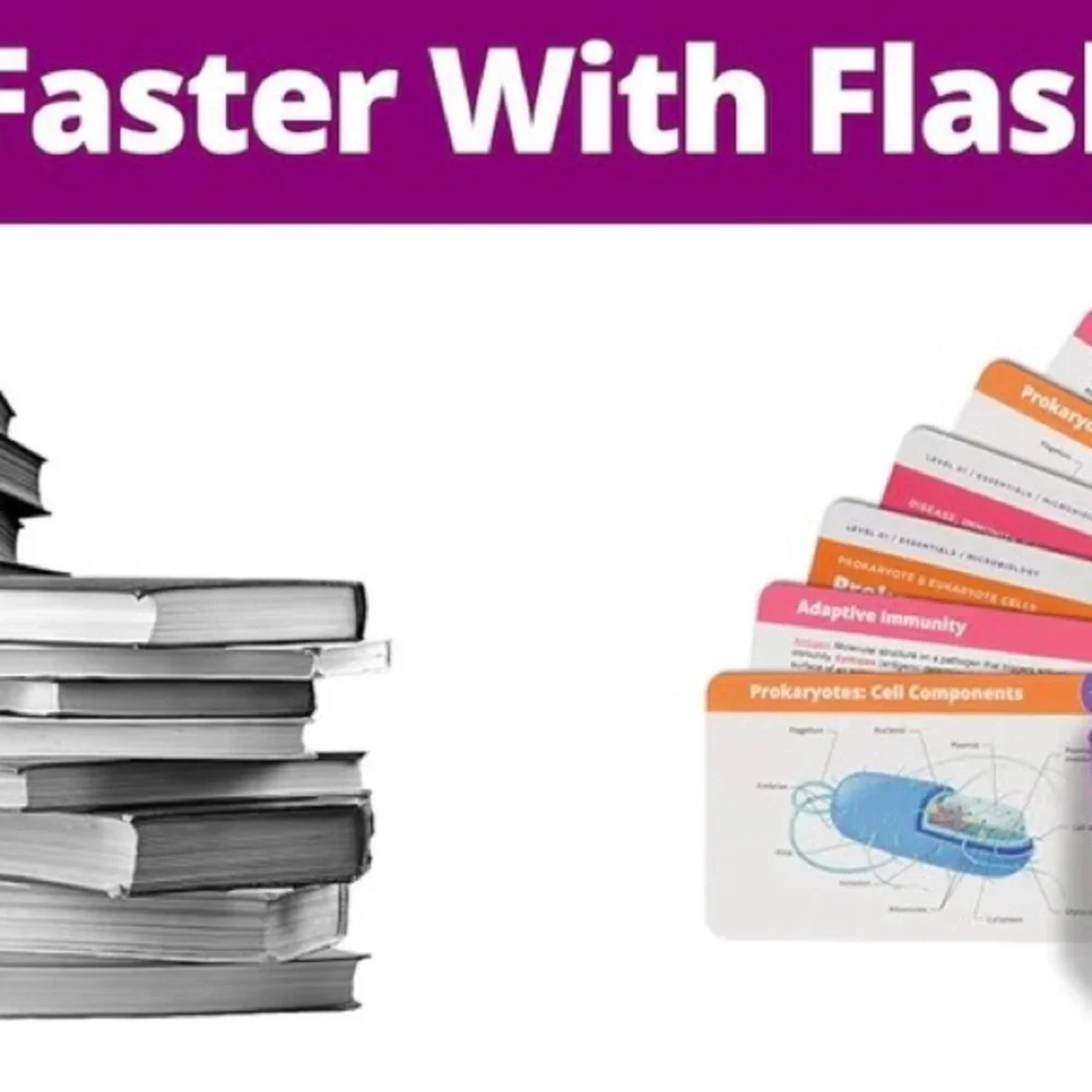 Level Up RN Microbiology Flashcards - Picture 2 of 3